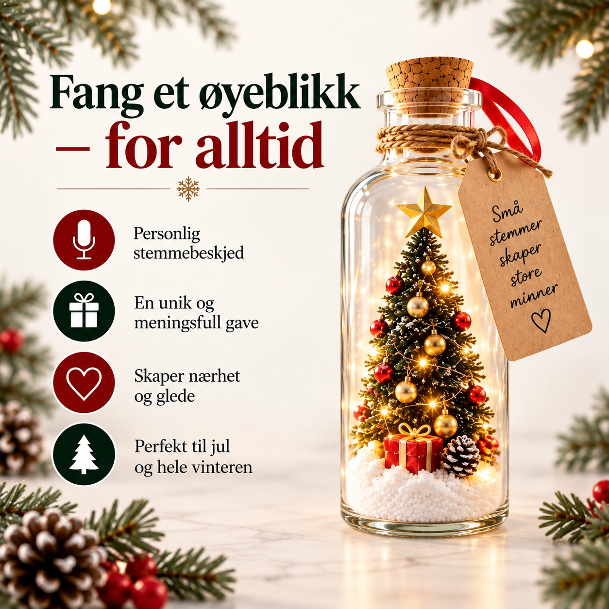Anero™ – Et minne med stemme